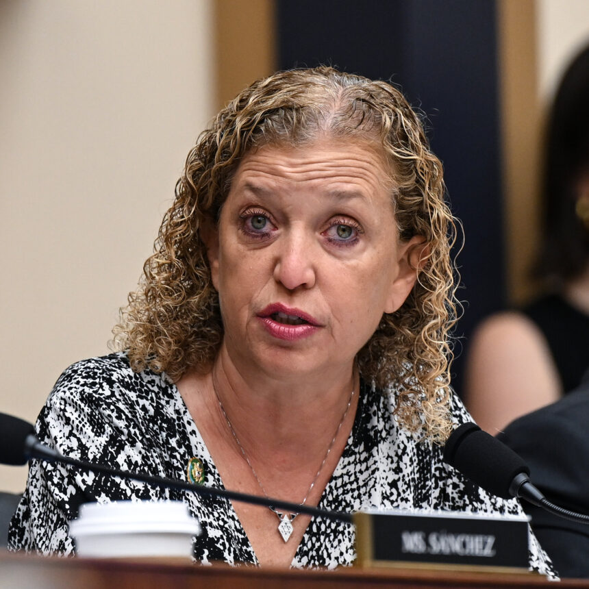 22pol-wasserman-schultz-redistricting-vqlj-mediumSquareAt3X