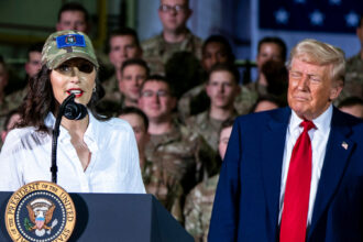 29nat-whitmer-democrats-1-qzlf-mediumSquareAt3X