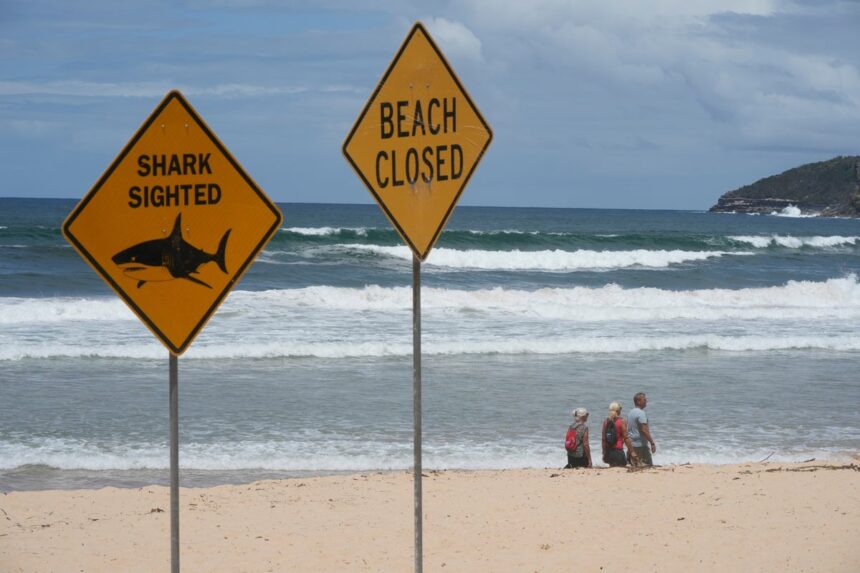 Australia_Shark_Attacks_35827