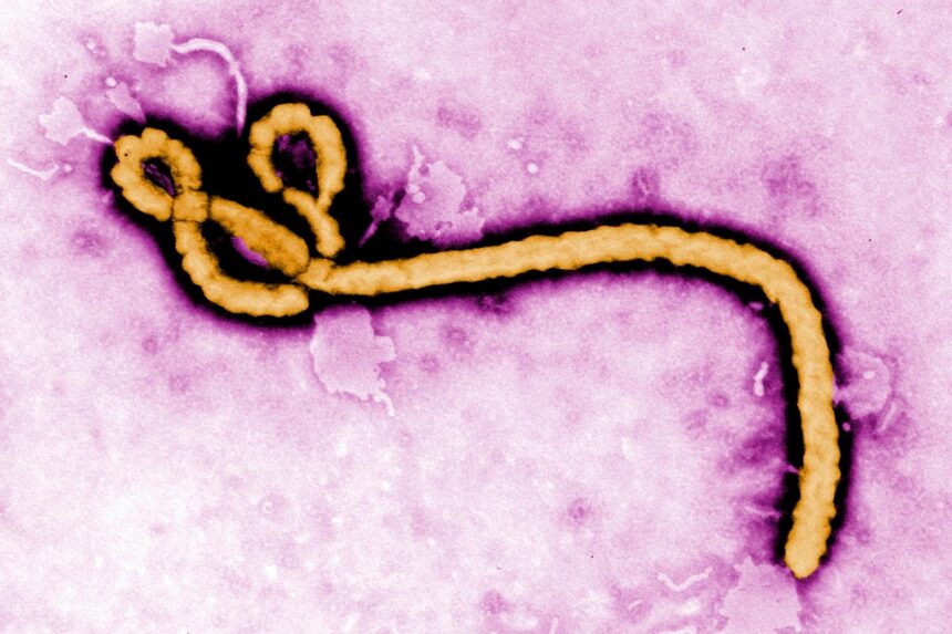 Congo_Ebola_1624_-4