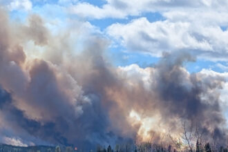 WILDFIRE-1-CROPPED