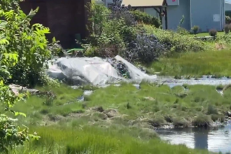 comox-valley-sewage-12