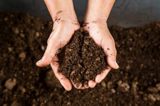 dirt-in-hands