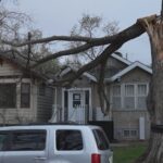downed-trees-sask-resized-10