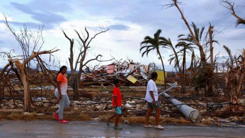 e0bc3390-5524-11f1-87e7-8195a3fea8aa