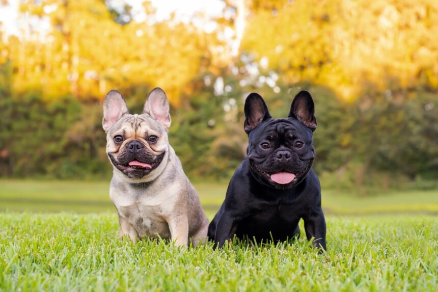 iStock-1349888325-3