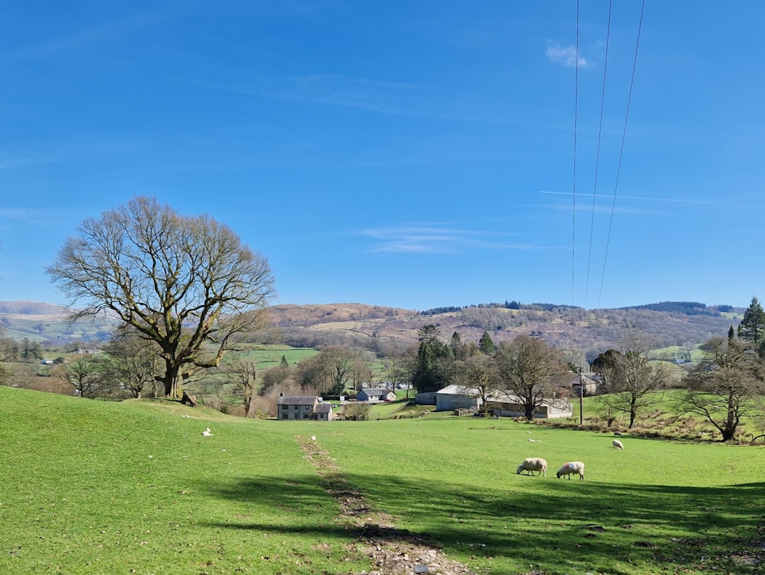The New District Landscape