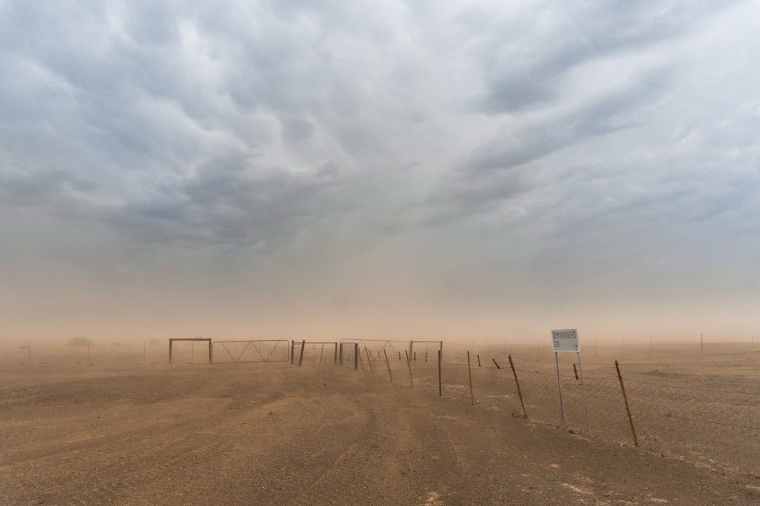 Dust Storms Add to the Chaos
