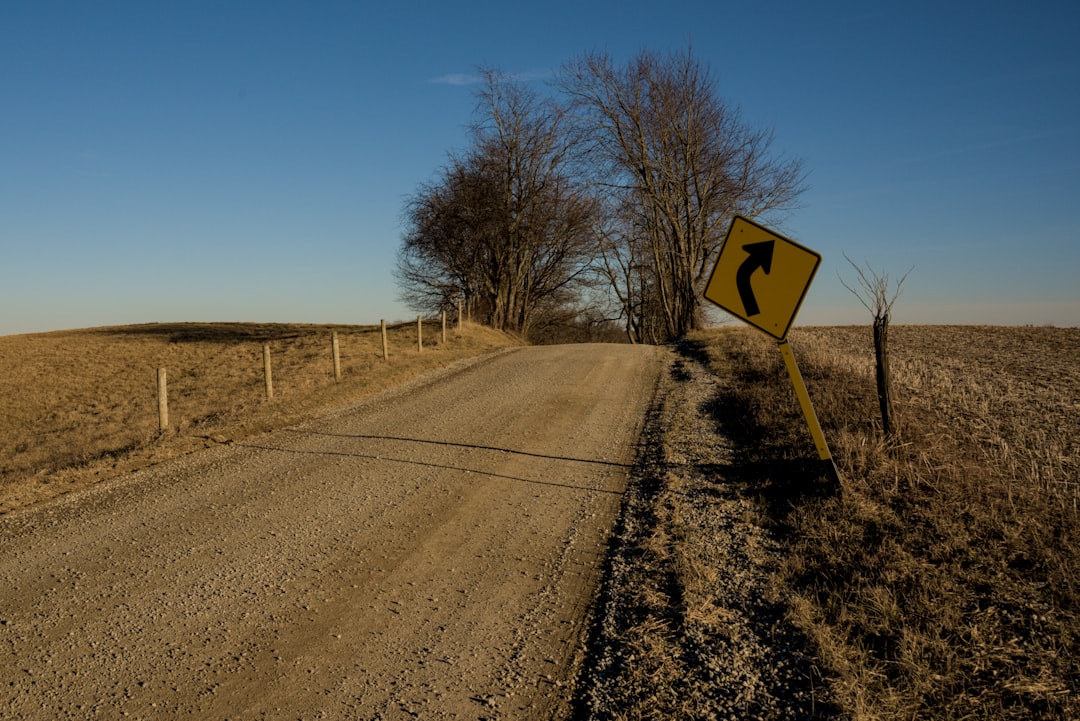 The Road Ahead: A Divisive Campaign