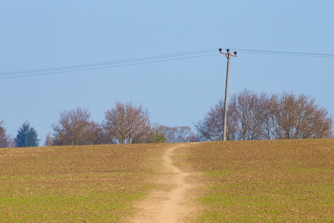 Potential Path Forward: Economic Engagement or Continued Isolation?