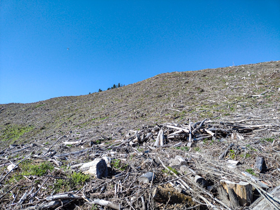 The Ecological Impact of Dam Removal