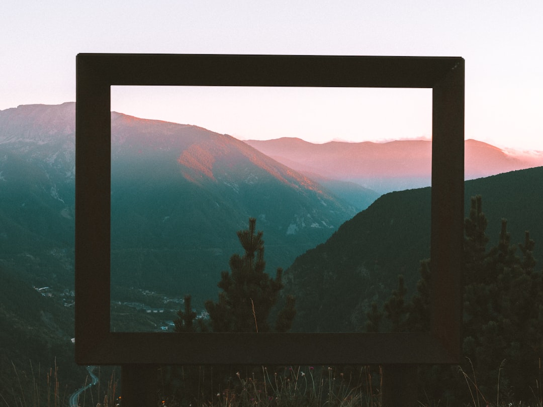 Implications for the Media Landscape