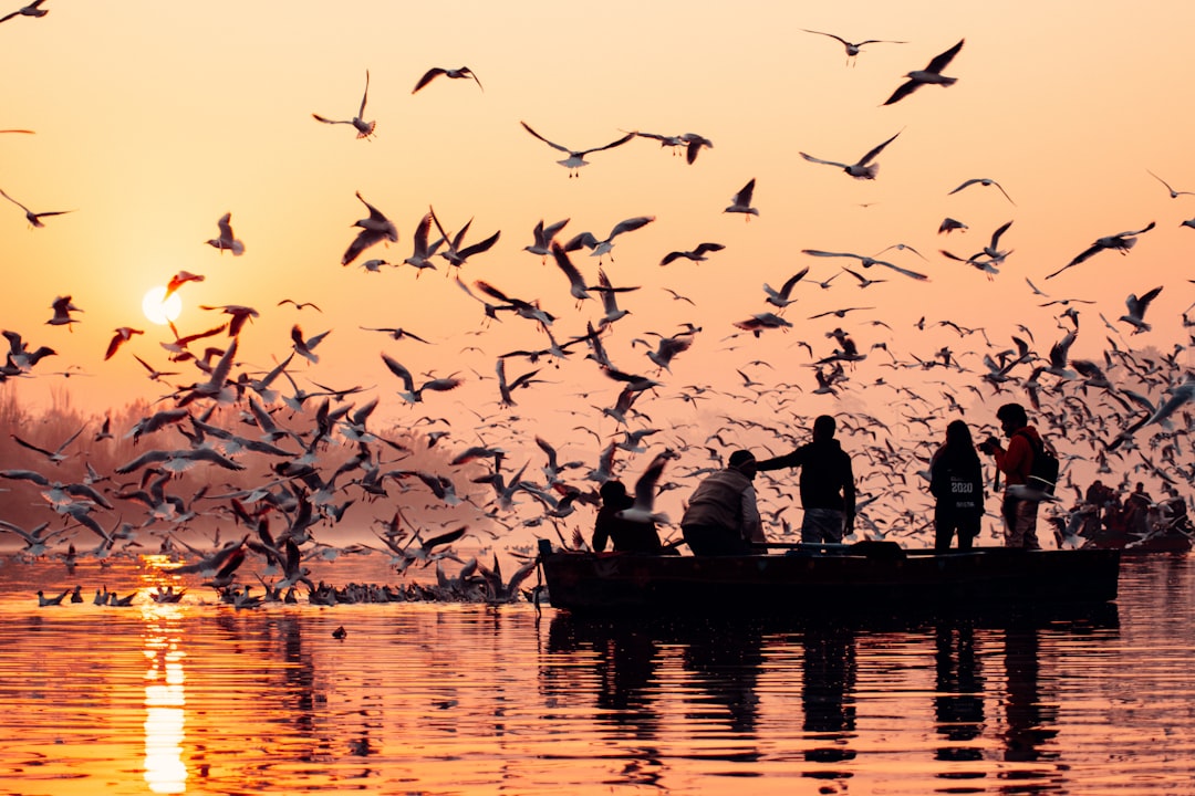 Key Factors Influencing Migration Patterns
