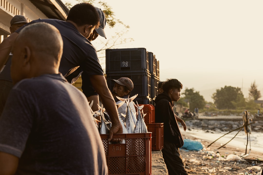 An Unfolding Humanitarian Crisis