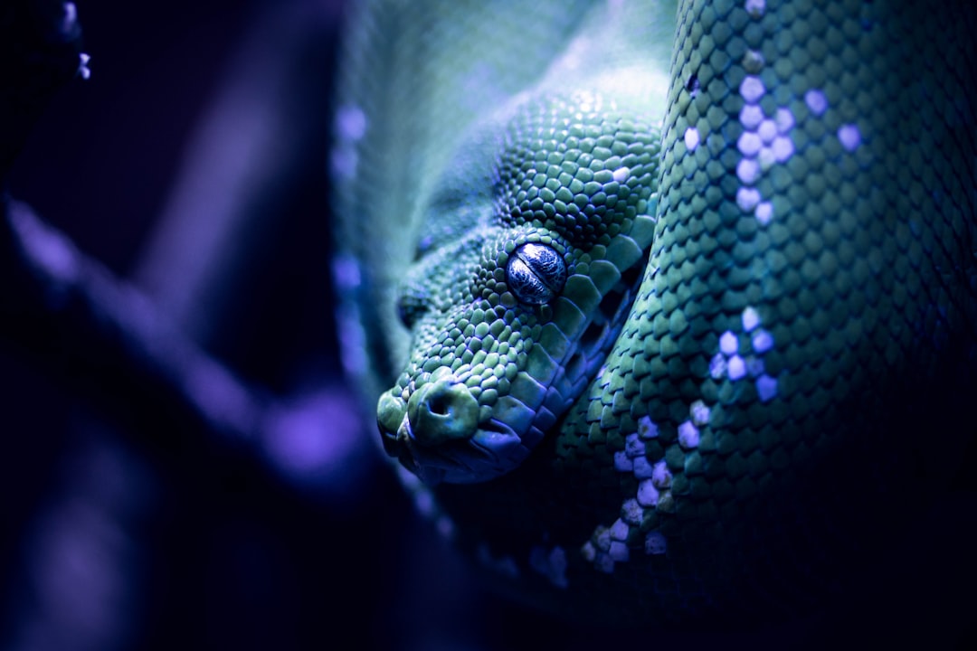 Mapping the Future of Snake Distribution