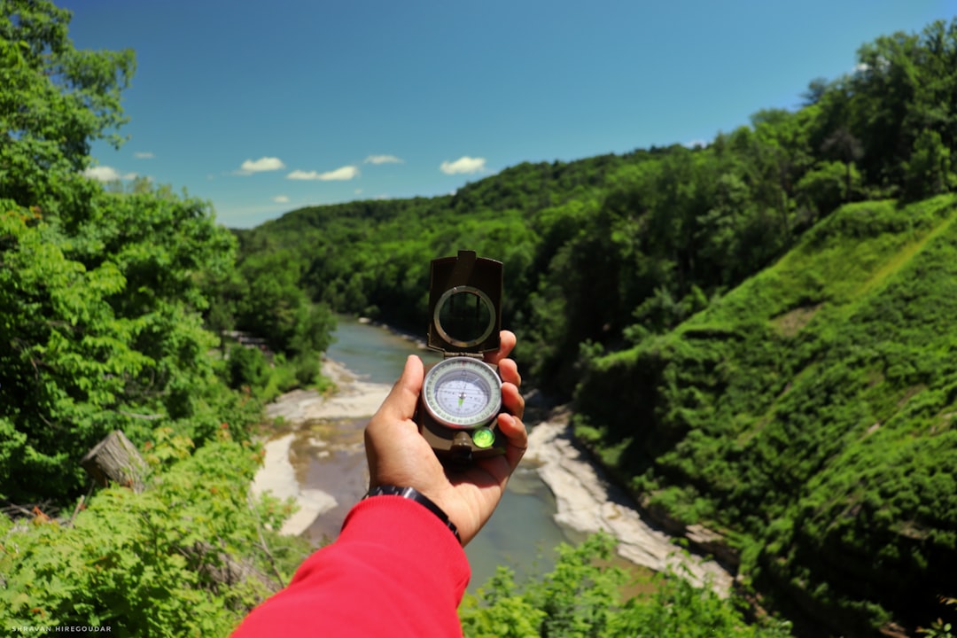 Navigating the Professional Landscape