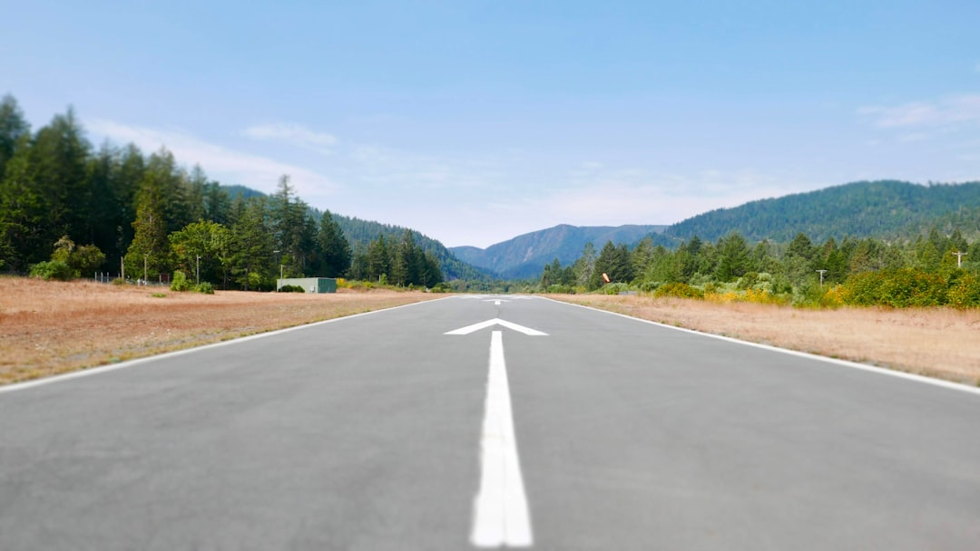 The Road Ahead for Interest Rates