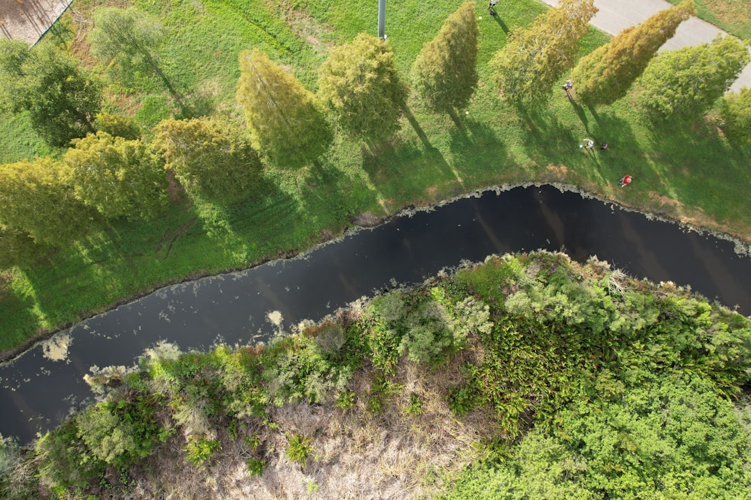 Environmental Implications of AI Development
