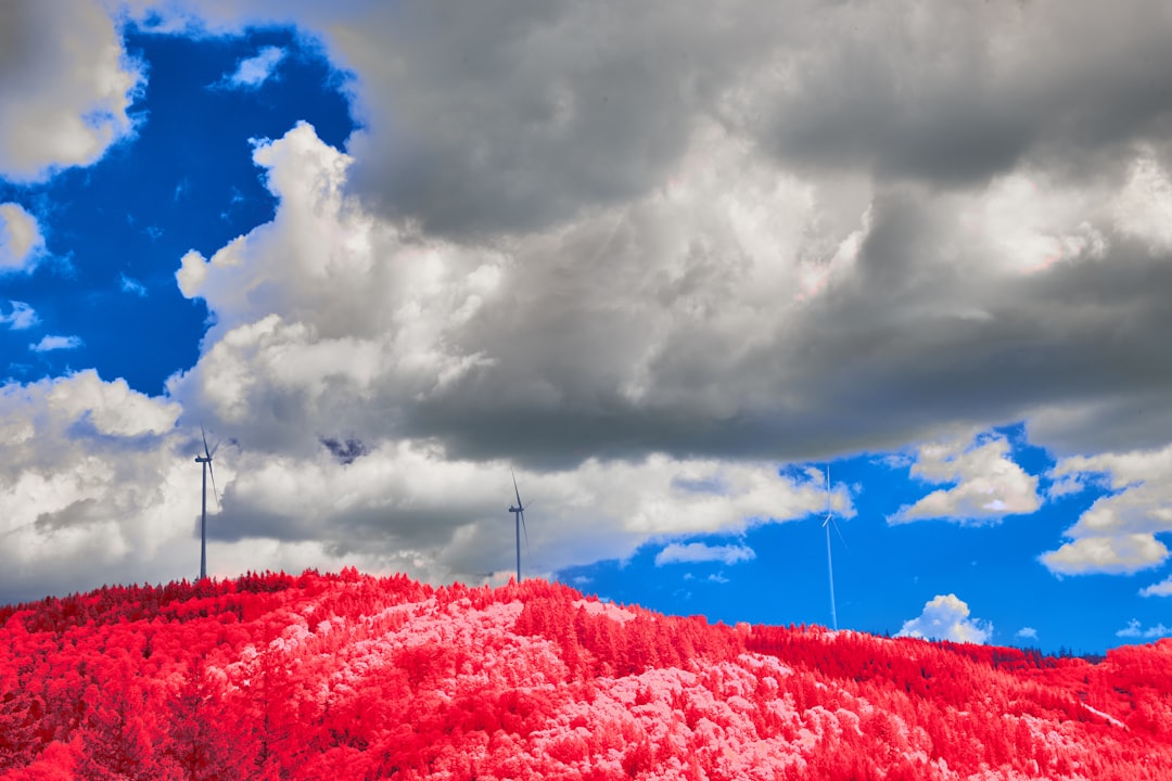 Political Landscape in Flux