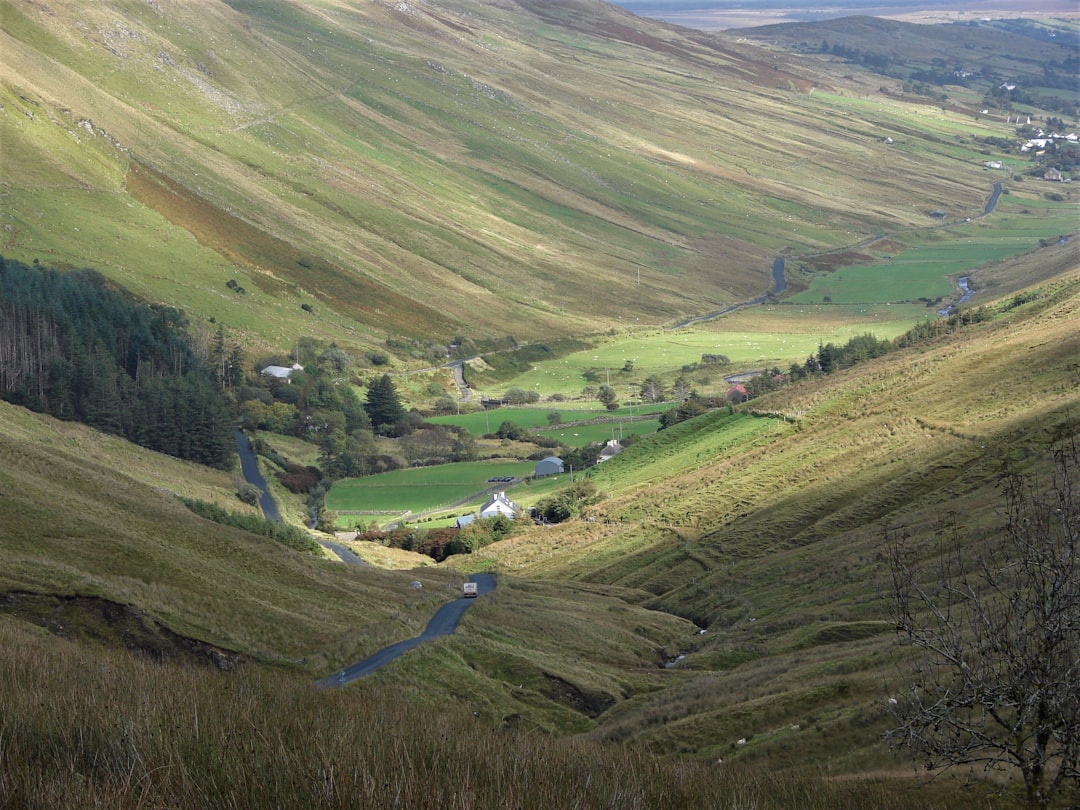 The Valley's Perspective