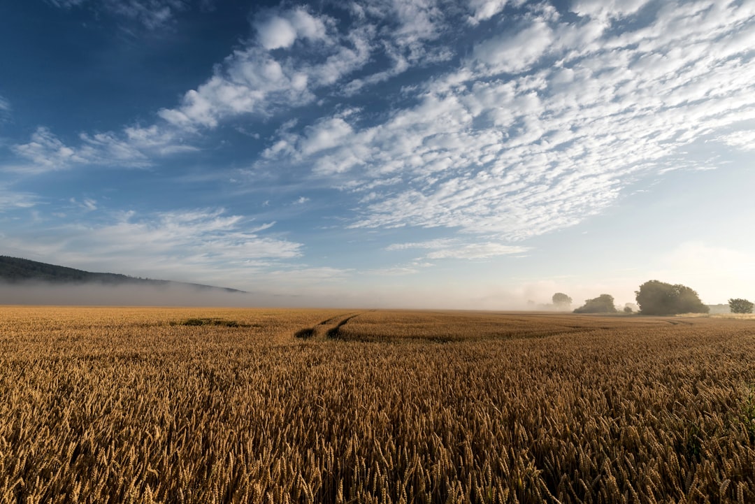 The Broader Legal Landscape
