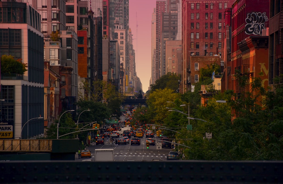 The City Comes Alive