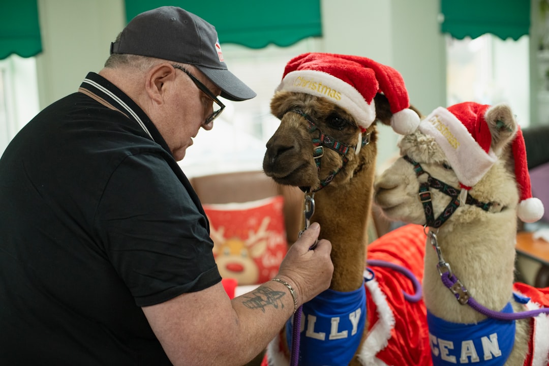 Community Spirit and Fan Engagement