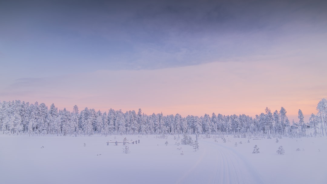 The Charm of Winter Landscapes