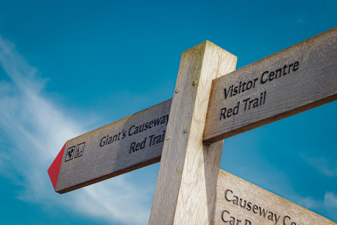 The Pathways Project