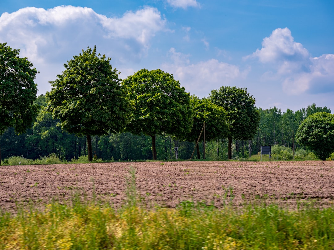 Preparing for Seasonal Changes