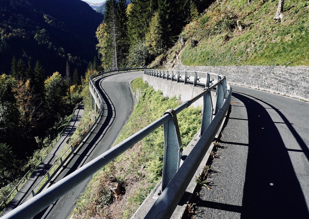 Economic Guardrails and Future Collaborations