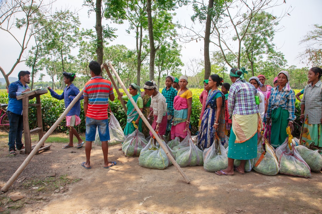 Implications for Conservation Efforts