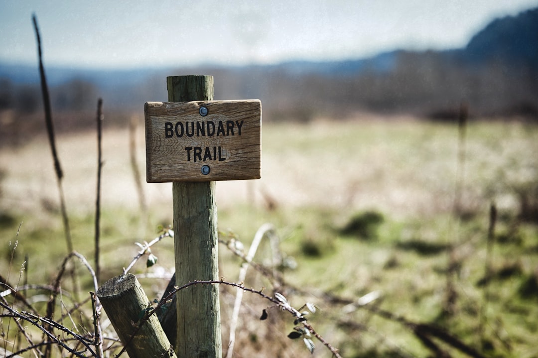 Contingency Plans for Boundary Bay Airport