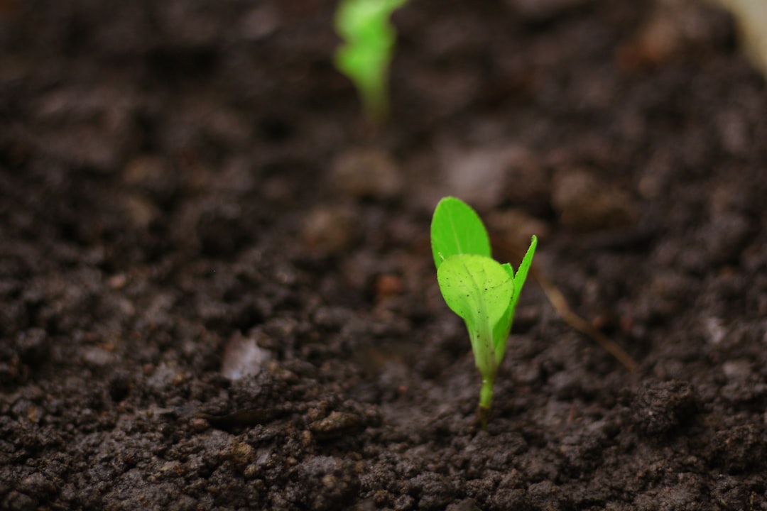 Health Implications: A Growing Concern