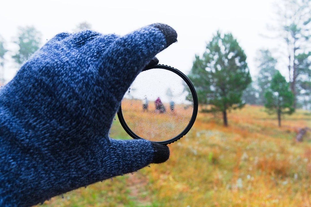 Navigating a Polarised Landscape
