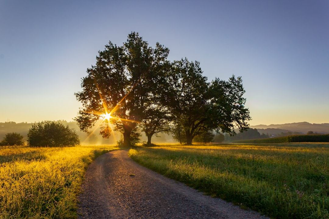 The Path Forward