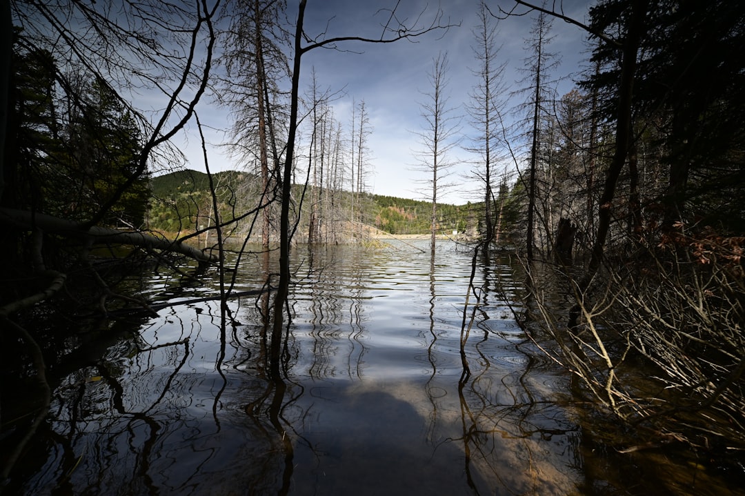 Climate Change's Impact