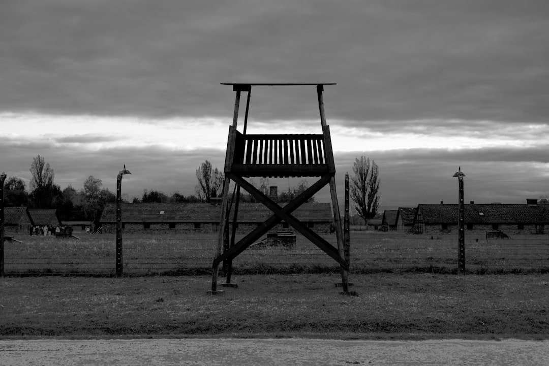 The Crime and Its Context