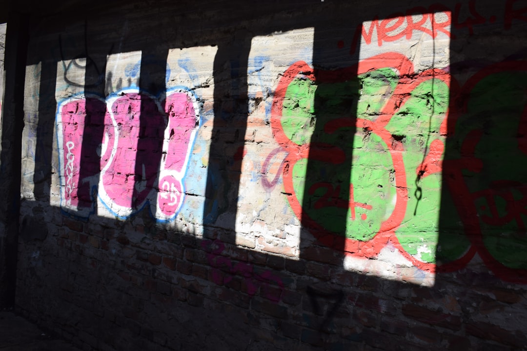 The Shadow of Insurgency
