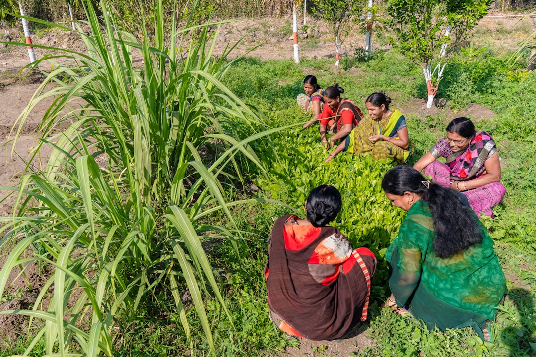 Adaptation and Sustainable Practices