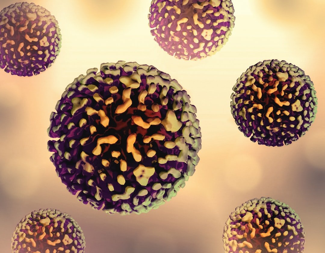 Understanding Hantavirus Transmission