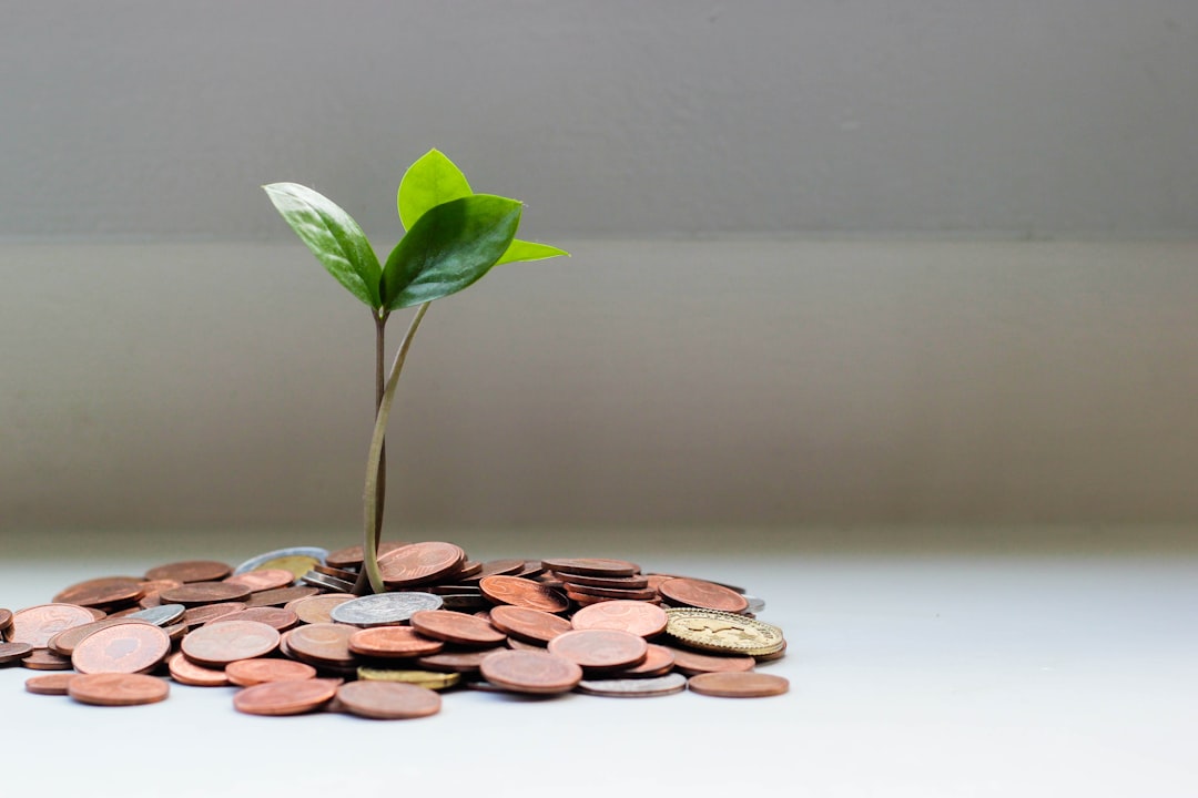 Growing Concerns Over Economic Priorities