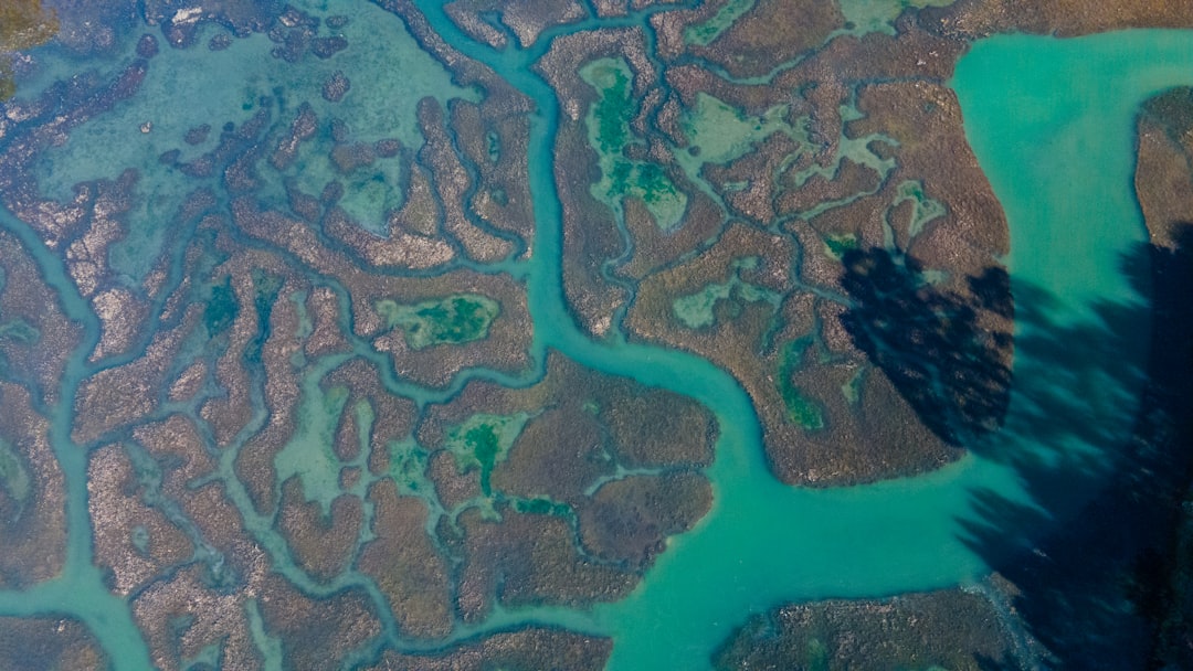 Future Directions for Inland Bathing Sites