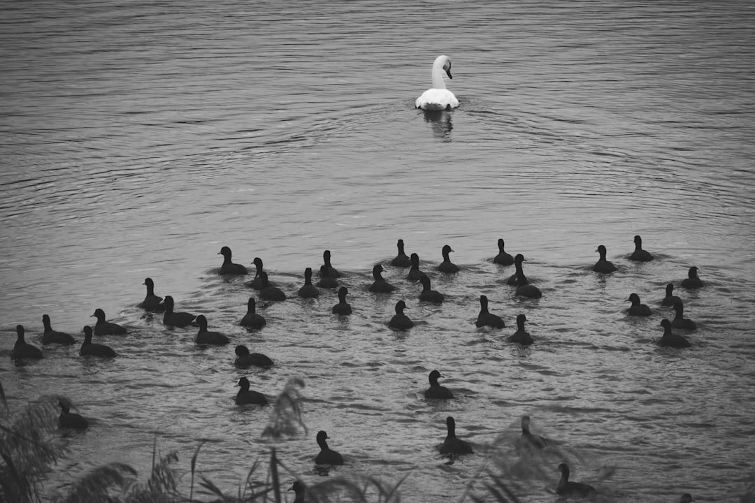 The Leadership Landscape