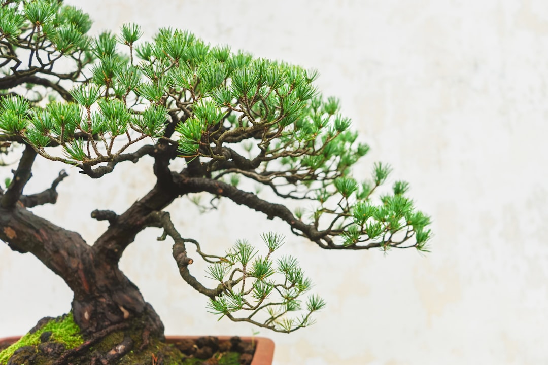 Cultivating Patience and Understanding