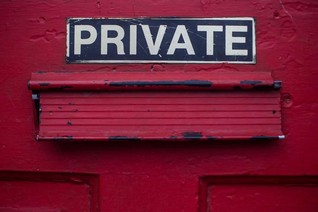 Implications for Private Citizens in Political Litigation