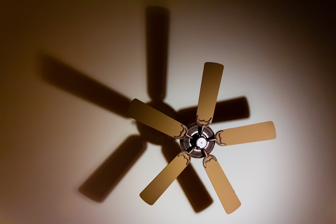 A Fan's Perspective