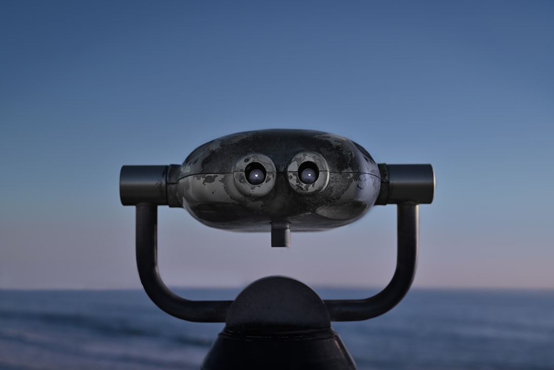 Looking Ahead: The Bigger Picture