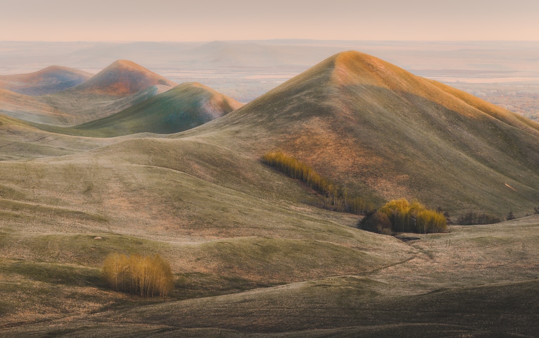 The Emotional Landscape