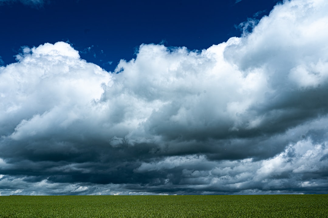 The Role of El Niño in Weather Variability